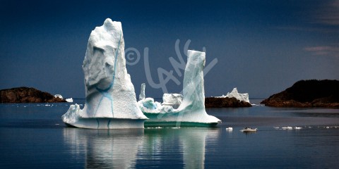 Twillingate, icebergs